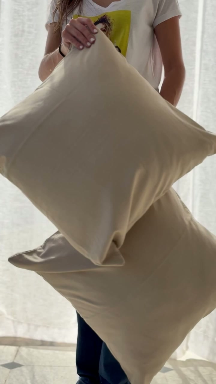 Almohadón Lisa Tussor 60x60 Beige